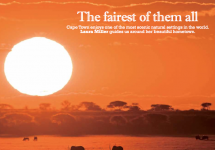 Priority, Singapore Airlines