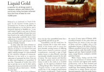 Gafencu Men magazine